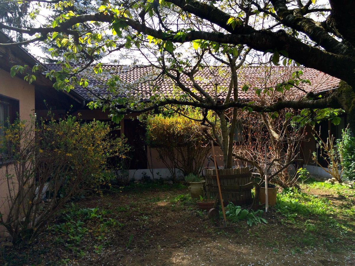 La Ferme De Thoudiere Saint-Étienne-de-Saint-Geoirs Εξωτερικό φωτογραφία